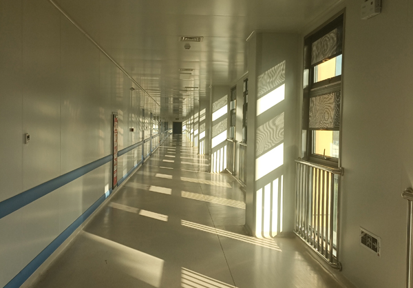 男女透板鸡视频免费下载